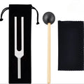 Le kit complet diapason, maillet, chiffon et etui